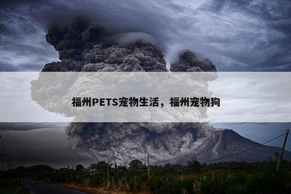 福州PETS宠物生活，福州宠物狗