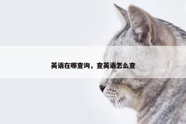 英语在哪查询，查英语怎么查