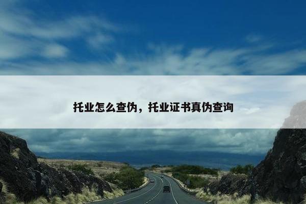 托业怎么查伪，托业证书真伪查询