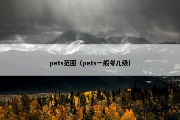 pets范围（pets一般考几级）