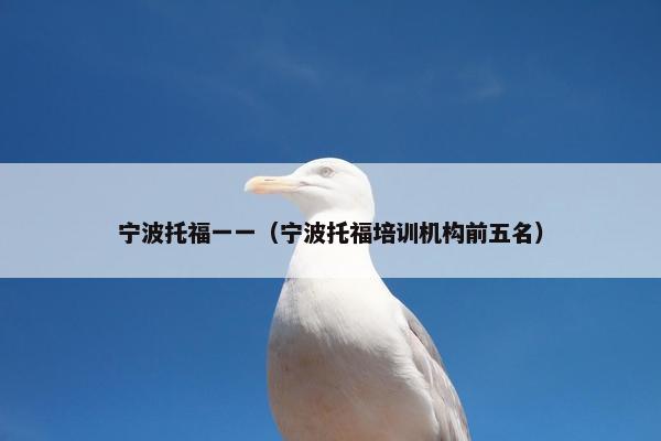 宁波托福一一（宁波托福培训机构前五名）