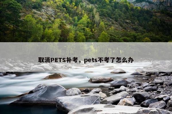 取消PETS补考，pets不考了怎么办