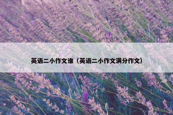 英语二小作文谁（英语二小作文满分作文）