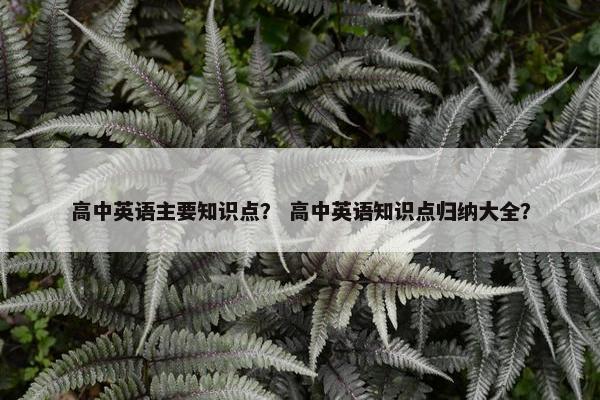 高中英语主要知识点？ 高中英语知识点归纳大全？