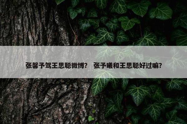 张馨予驾王思聪微博？ 张予曦和王思聪好过嘛？