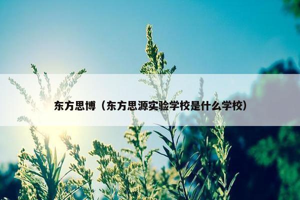 东方思博（东方思源实验学校是什么学校）