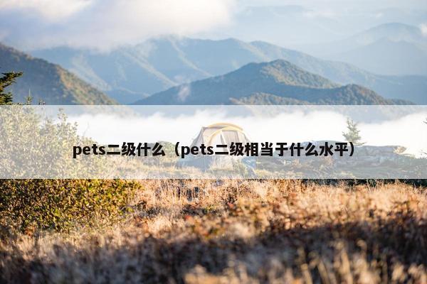 pets二级什么（pets二级相当于什么水平）