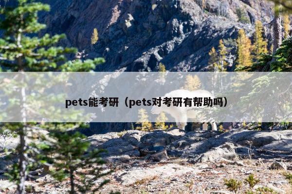 pets能考研（pets对考研有帮助吗）