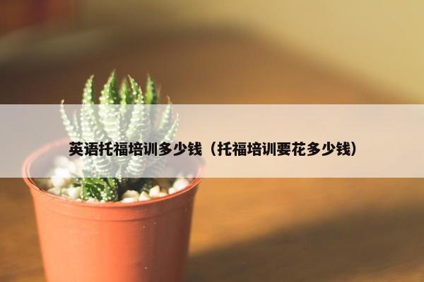 英语托福培训多少钱（托福培训要花多少钱）