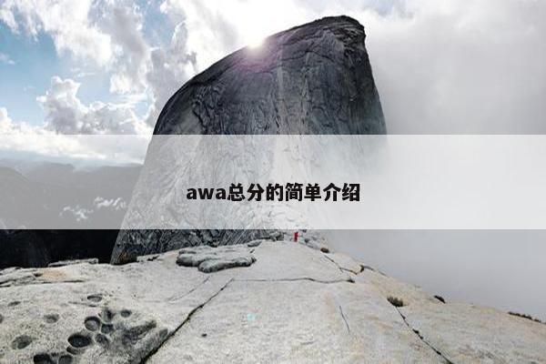 awa总分的简单介绍
