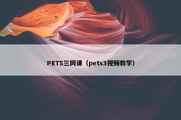 PETS三网课（pets3视频教学）