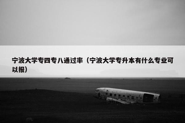 宁波大学专四专八通过率（宁波大学专升本有什么专业可以报）