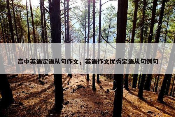 高中英语定语从句作文，英语作文优秀定语从句例句