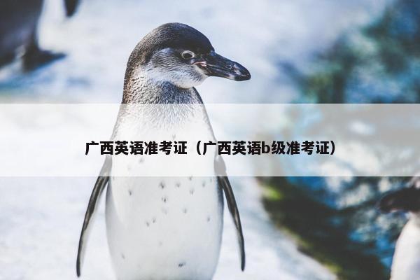 广西英语准考证（广西英语b级准考证）