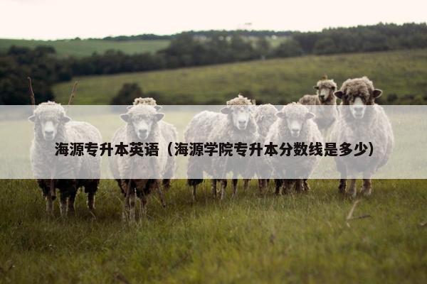 海源专升本英语（海源学院专升本分数线是多少）