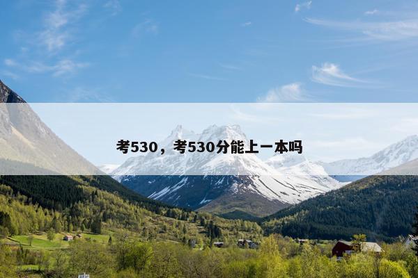 考530，考530分能上一本吗