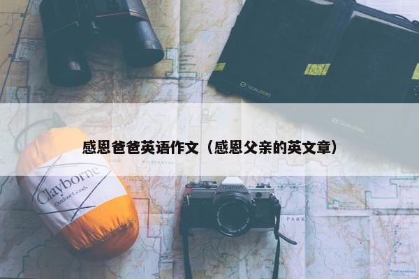 感恩爸爸英语作文（感恩父亲的英文章）