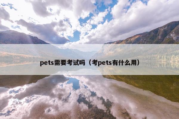 pets需要考试吗（考pets有什么用）