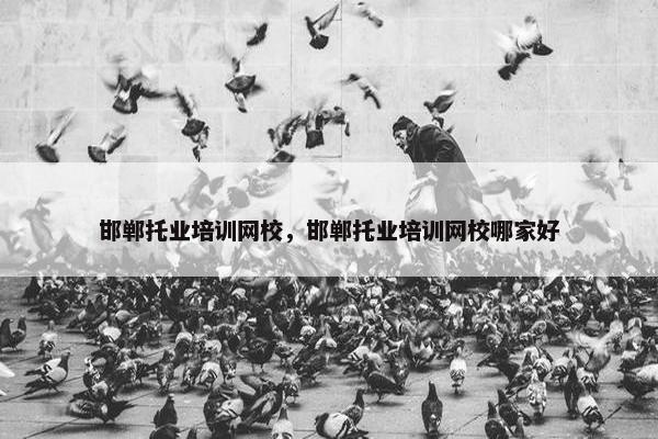 邯郸托业培训网校，邯郸托业培训网校哪家好