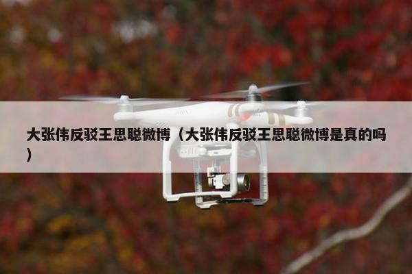 大张伟反驳王思聪微博（大张伟反驳王思聪微博是真的吗）