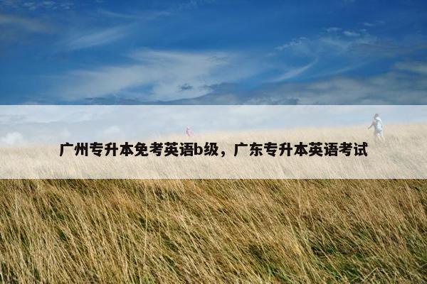 广州专升本免考英语b级，广东专升本英语考试