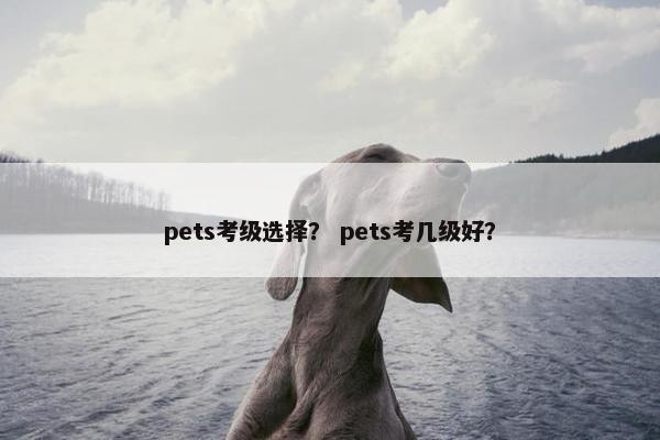 pets考级选择？ pets考几级好？