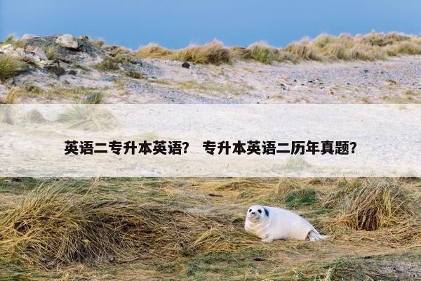 英语二专升本英语？ 专升本英语二历年真题？