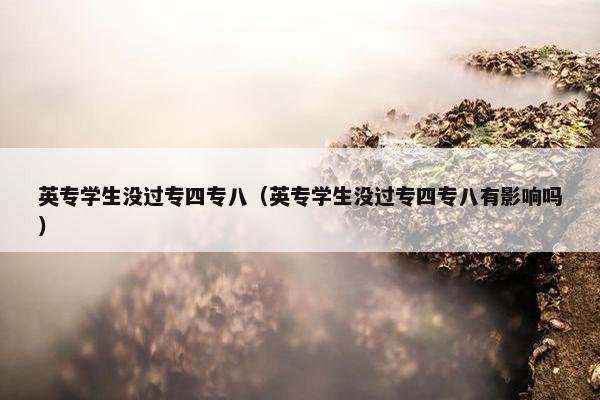 英专学生没过专四专八（英专学生没过专四专八有影响吗）