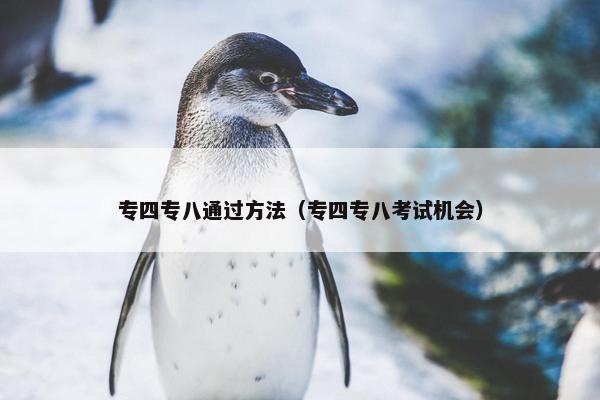 专四专八通过方法（专四专八考试机会）