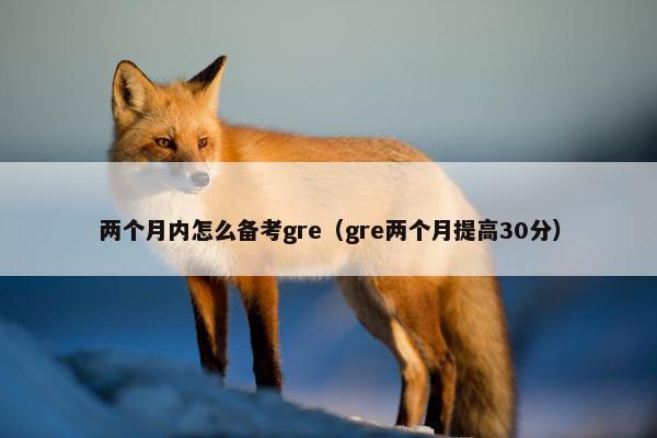 两个月内怎么备考gre（gre两个月提高30分）