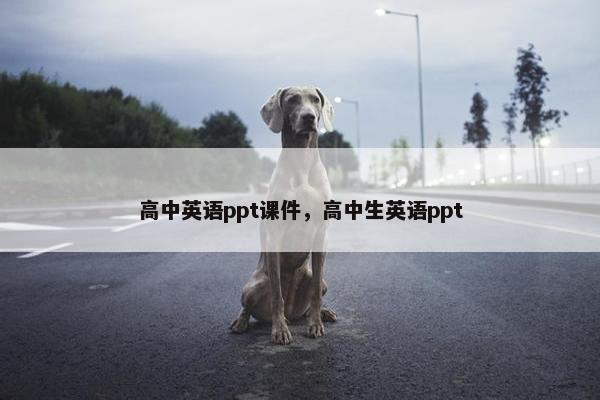 高中英语ppt课件，高中生英语ppt