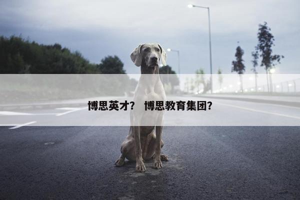 博思英才？ 博思教育集团？