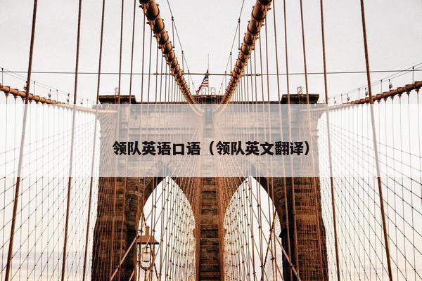 领队英语口语（领队英文翻译）