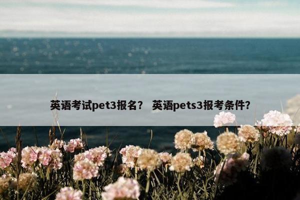 英语考试pet3报名？ 英语pets3报考条件？