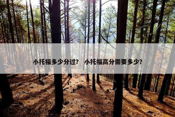小托福多少分过？ 小托福高分需要多少？