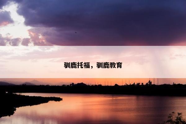 驯鹿托福，驯鹿教育