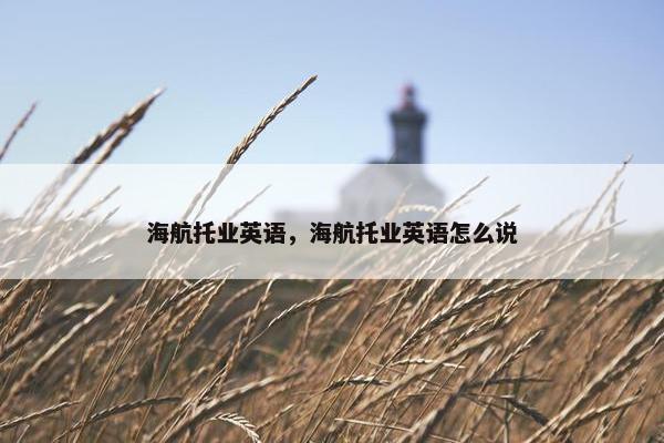 海航托业英语，海航托业英语怎么说
