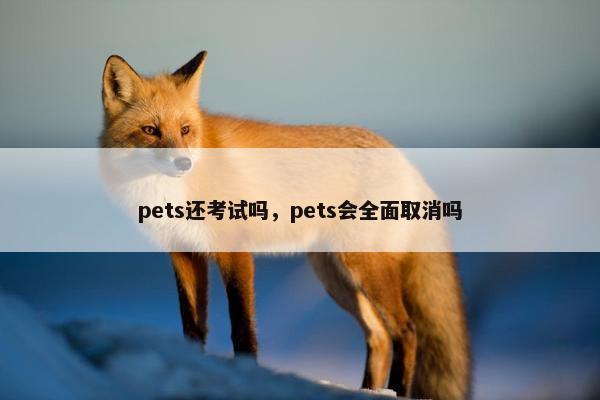pets还考试吗，pets会全面取消吗