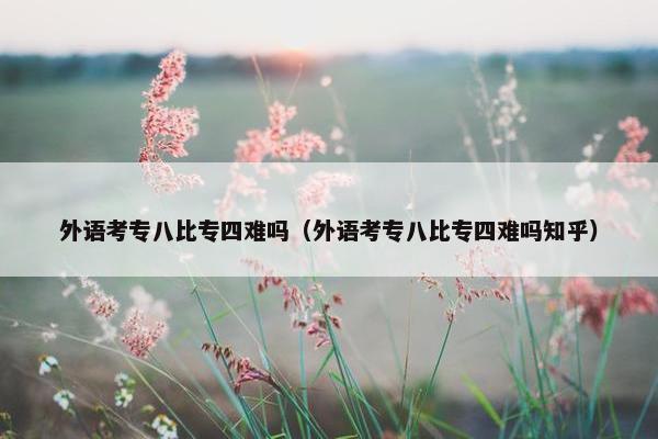 外语考专八比专四难吗（外语考专八比专四难吗知乎）