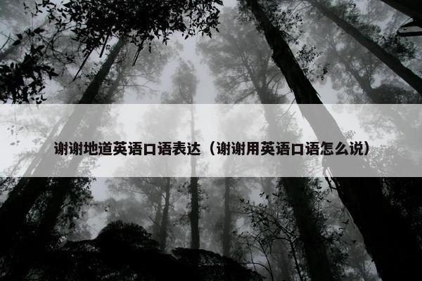 谢谢地道英语口语表达（谢谢用英语口语怎么说）