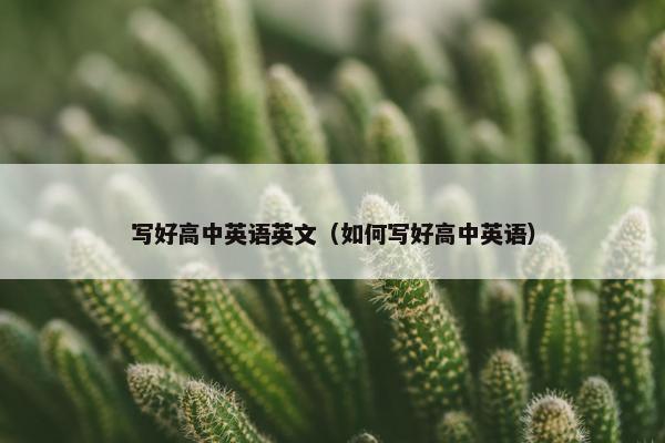 写好高中英语英文（如何写好高中英语）