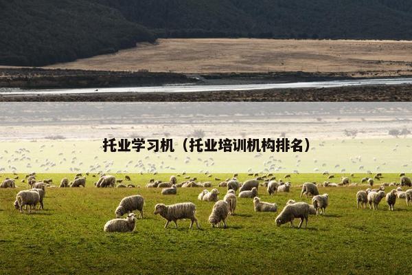 托业学习机（托业培训机构排名）
