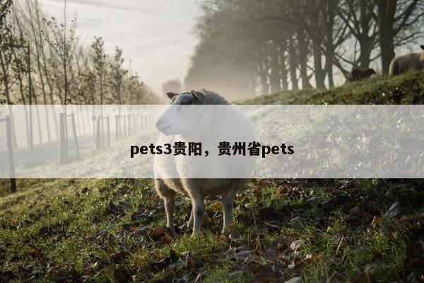 pets3贵阳，贵州省pets