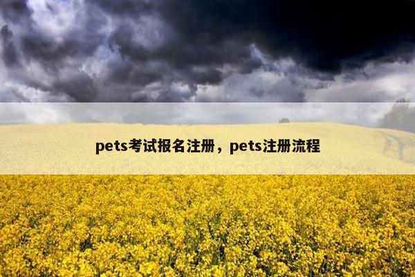 pets考试报名注册，pets注册流程