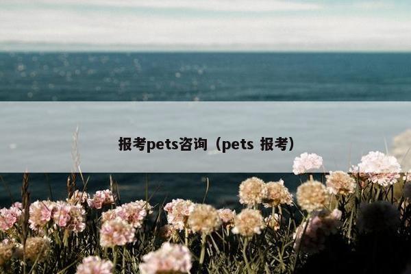 报考pets咨询（pets 报考）