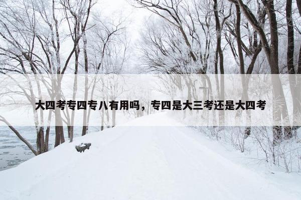 大四考专四专八有用吗，专四是大三考还是大四考