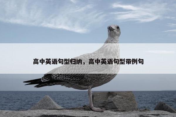高中英语句型归纳，高中英语句型带例句