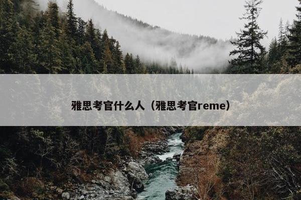 雅思考官什么人（雅思考官reme）