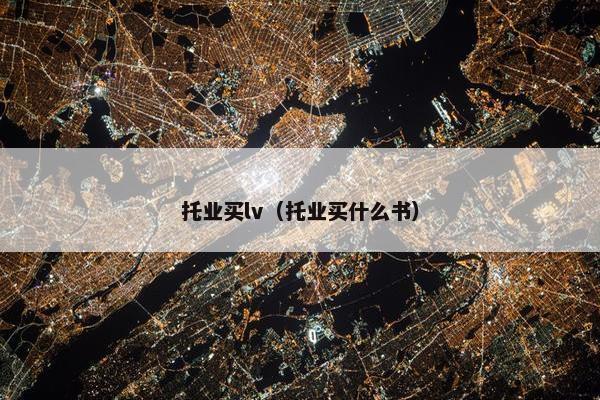 托业买lv（托业买什么书）