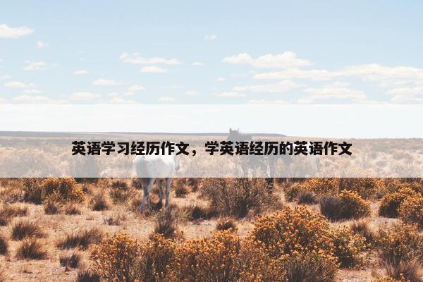 英语学习经历作文，学英语经历的英语作文